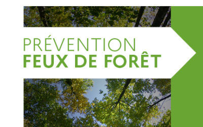 Règlementation des travaux à proximité des forêts