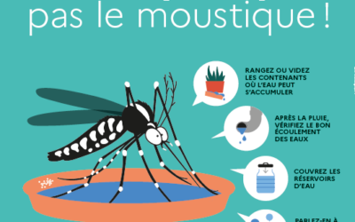 information moustique-tigre