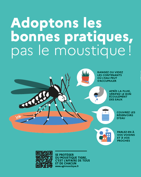information moustique-tigre
