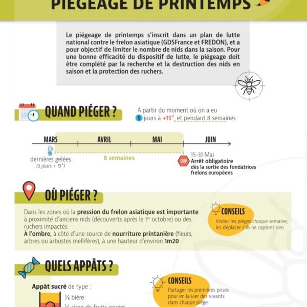piégeage frelons asiatiques