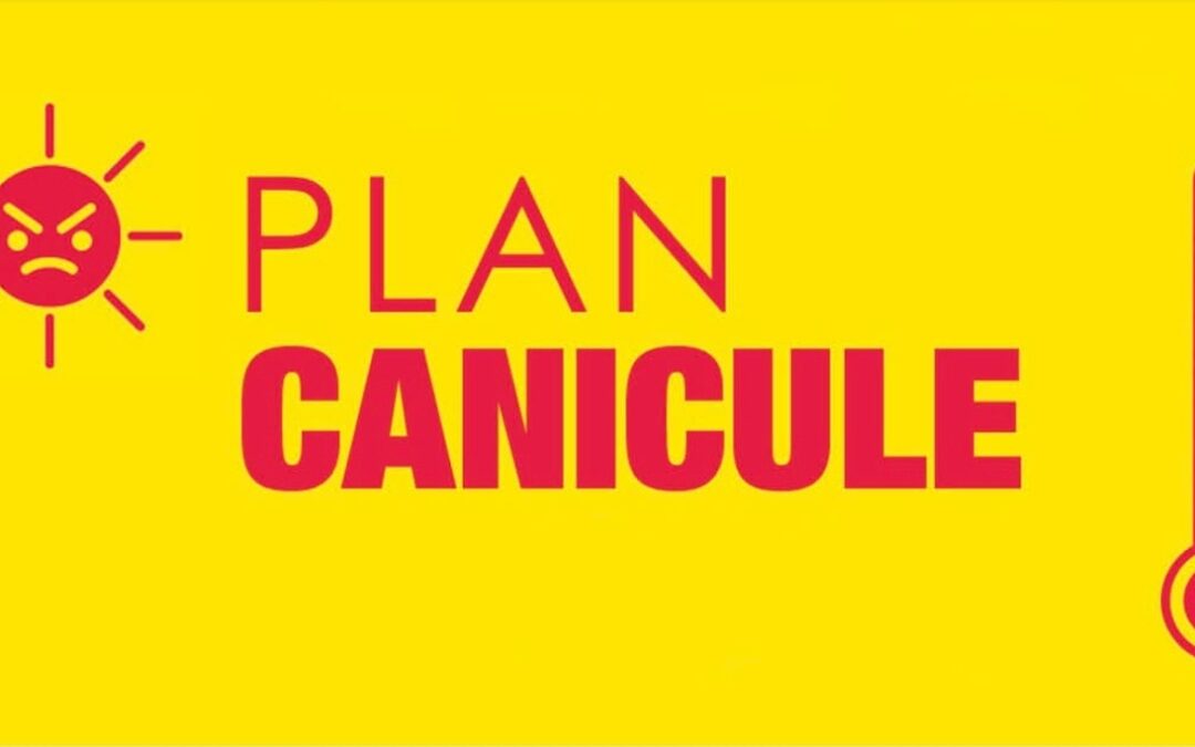 Plan canicule